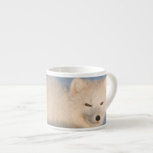 Tasse Expresso États-Unis, Alaska, Fox