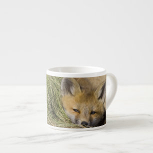 Tasse Expresso États-Unis, Colorado, Breckenridge. Alerte renard 