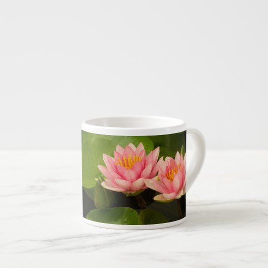 Tasse Expresso États-Unis, DC, Washington, Kenilworth 4 (Devant droit)