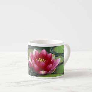 Tasse Expresso États-Unis, État de Washington, Seattle. Nénuphar
