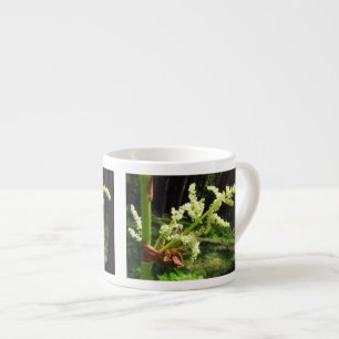 Tasse Expresso Flower Rhubarb Stalks Nature Photo