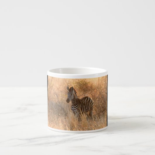 Tasse Expresso Foie zébrée le matin (Devant)