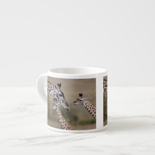 Tasse Expresso Girafe maasaï (Giraffe Tippelskirchi)