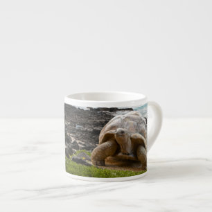 Tasse Expresso Grande tortue au bord de mer