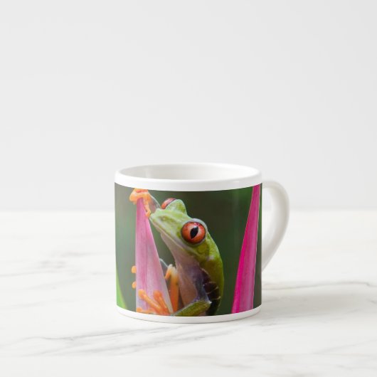 Tasse Expresso Grenouille à oeil rouge, Costa Rica (Devant droit)