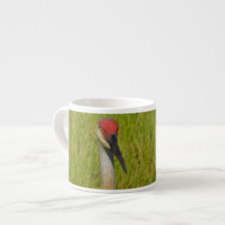 Tasse Expresso Grue Sand Hill Regardant L'Appareil Photo