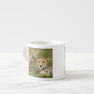 Tasse Expresso Guépard, Acinonyx jubatus, avec un petit