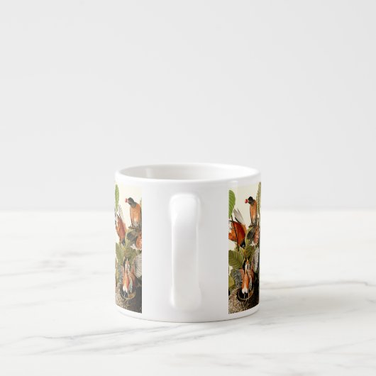 Tasse Expresso Illustration Audubon American Robin Wildlife Bird (Dos)
