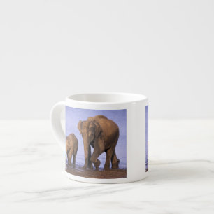 Tasse Expresso Inde, parc national de Nagarhole. Éléphant d'Asie