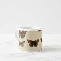 Insectes de jardin par Vision Studio