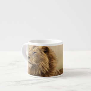 Tasse Expresso Kenya, Masai Mara   Lion mâle