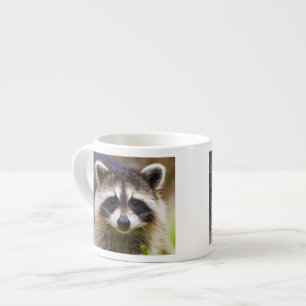 Tasse Expresso Le raton laveur, Procyon lotor