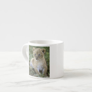Tasse Expresso lion d'Afrique, Panthera leo), Tanzanie,