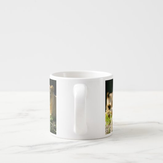 Tasse Expresso Lions (Dos)