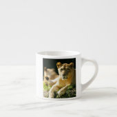 Tasse Expresso Lions (Droite)