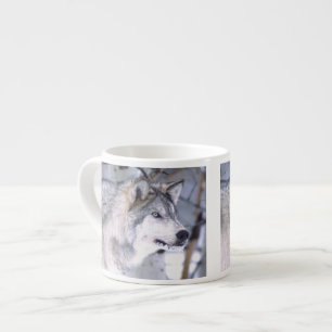 Tasse Expresso Loup gris, Canis lupus, Animal de cinéma Utah)