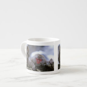 Tasse Expresso Mère et enfant singe des neiges, Jigokudani, Nagan