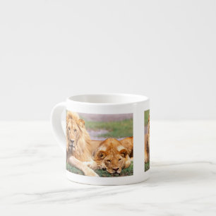 Tasse Expresso Paire de lions africains, Panthera leo, Tanzanie