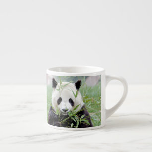 tasse expresso Panda géant photo.