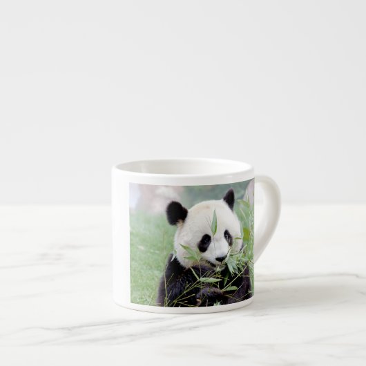 tasse expresso Panda géant photo. (Devant droit)