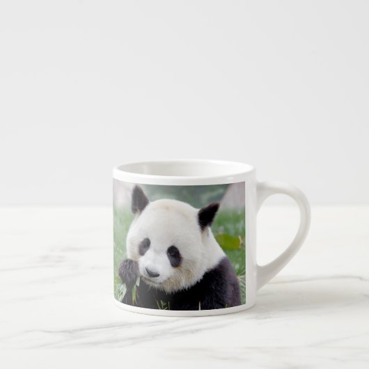 tasse expresso Panda géant photo. (Droite)