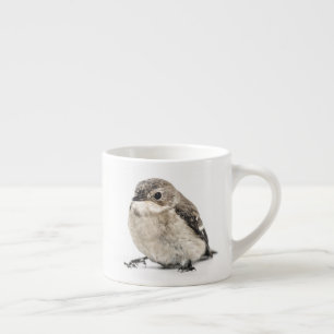 Tasse Expresso Photo d'oiseau de jardin petit