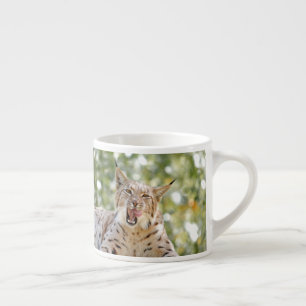 Tasse Expresso Photo lynx, chat, animaux, coupe espresso