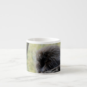 Tasse Expresso Porc-épic arboricole