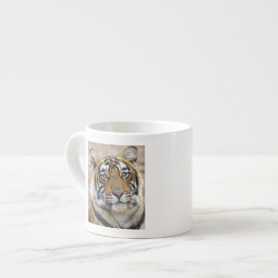 Tasse Expresso Portrait du tigre du Bengale royal, Ranthambhor