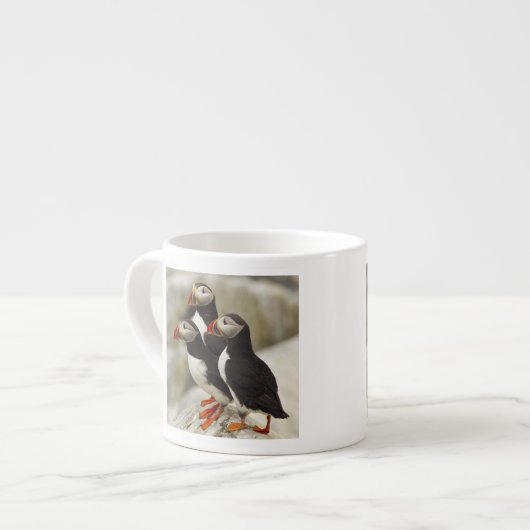Tasse Expresso Puffins de l'Atlantique sur l'île des phoques Mach (Devant gauche)