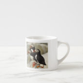 Tasse Expresso Puffins de l'Atlantique sur l'île des phoques Mach (Droite)