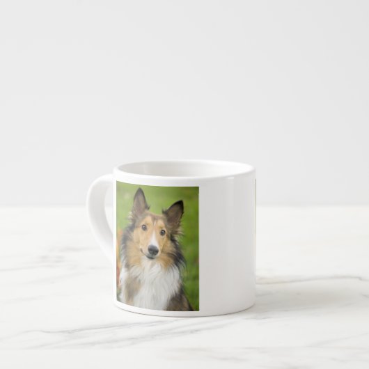 Tasse Expresso Rough Collie, chien (Devant gauche)