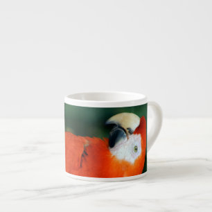 Tasse Expresso Scarlet Macaw