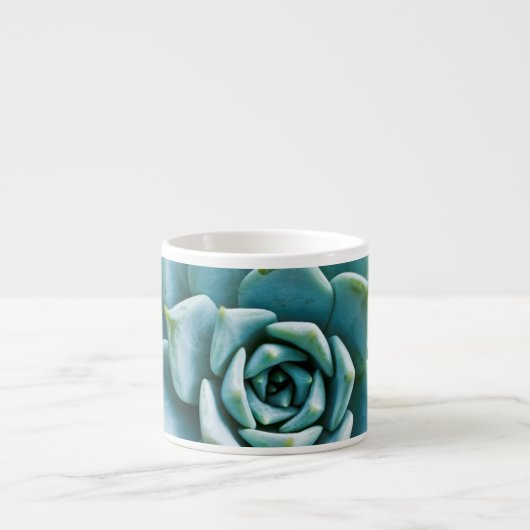Tasse Expresso Succulent (Devant)