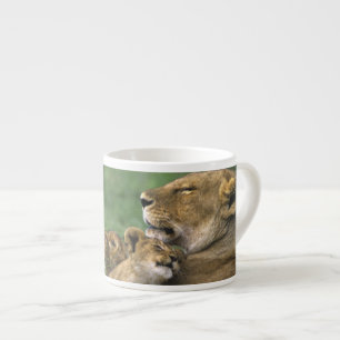 Tasse Expresso Tanzanie, cratère du Ngorongoro. Mère lionne afric
