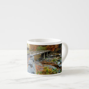Tasse Expresso Taughannock tombe parc d'état