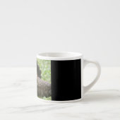 Tasse Expresso Tortue géante (Droite)