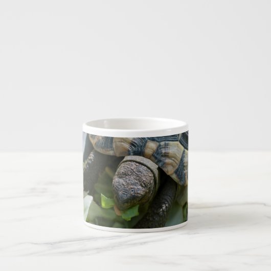 Tasse Expresso Tortue mignonne (Devant)