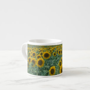 Tasse Expresso UE, France, Provence, Champ de tournesols