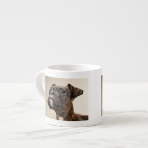 Tasse Expresso Un chiot Brindle de boxeur recherchant