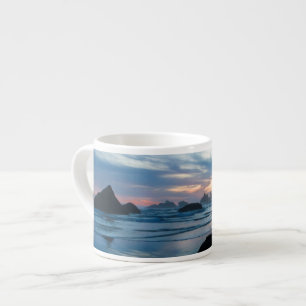 Tasse Expresso USA, Oregon, Bandon Beach. Mouette sur pierre