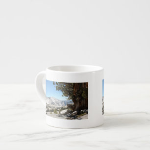 Tasse Expresso Vieil arbre au parc national de Yosemite