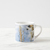 Tasse Expresso Wyoming, comté de Sublette, lapin de Nuttall (Droite)