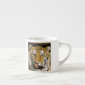 Tasse Expresso Zoo de Tiger Michigan (Droite)