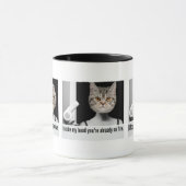 Tasse fâchée de chat pour menacer des personnes (Centre)