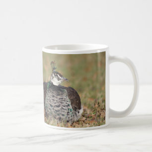 Tasse femelle de sommeil de paon