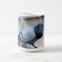 Tasse fière de pigeon voyageur