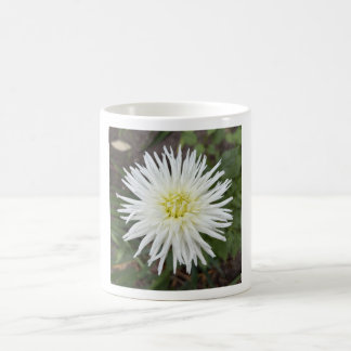 Tasse florale au dahlia cactus blanc