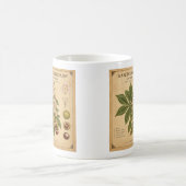 Tasse florale pour l'automne. (Centre)