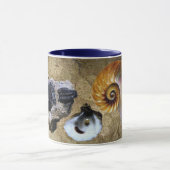 Tasse fossile (Centre)